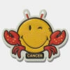 Anya Hindmarch Cancer Zodiac Sticker -Fashion Bag Shop Stickers Zodiac Cancer Wink in Mustard Capra 1